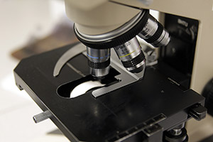 Clinical Research
